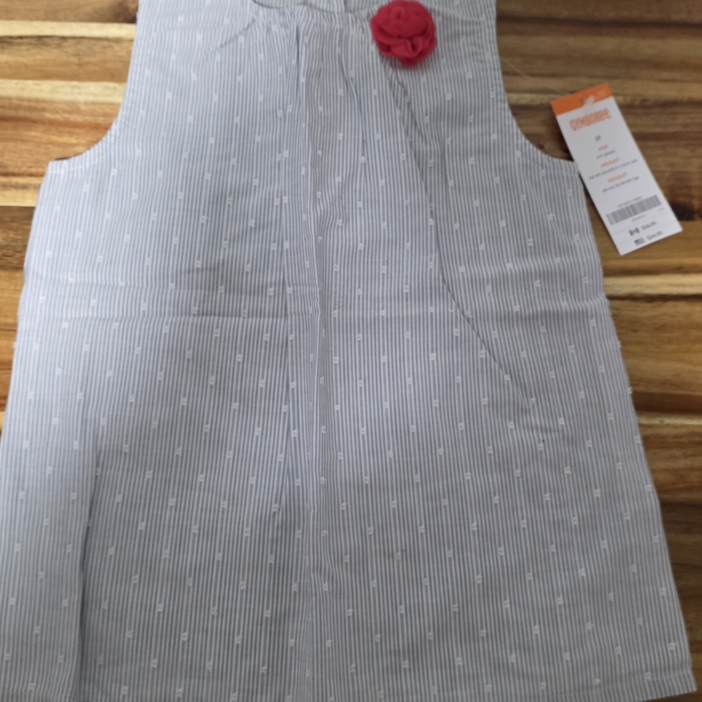 Gymboree Blue and White Striped Blouse with Pink Accent